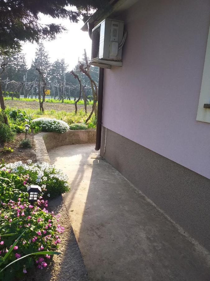 Istra Apartment Копер Екстериор снимка