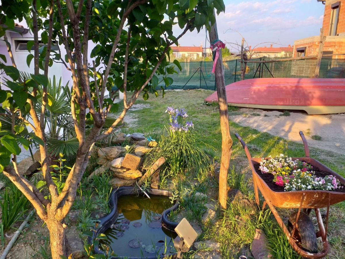 Istra Apartment Копер Екстериор снимка