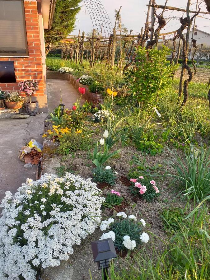 Istra Apartment Копер Екстериор снимка
